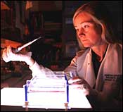 Professor Kay Davies